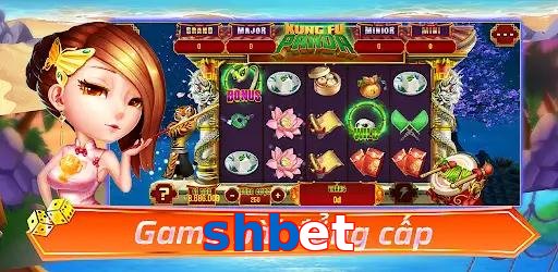 shbet
